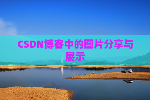 CSDN博客中的图片分享与展示